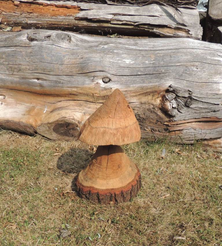 Mushroom Chainsaw Carving Garden Feature Sculpture Ornament