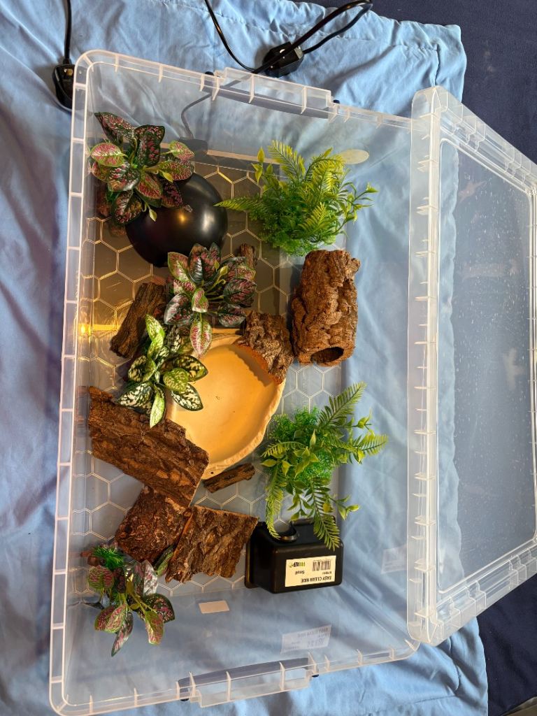 43L reptile snake ball python corn snake hognose snake set up with heat mat 