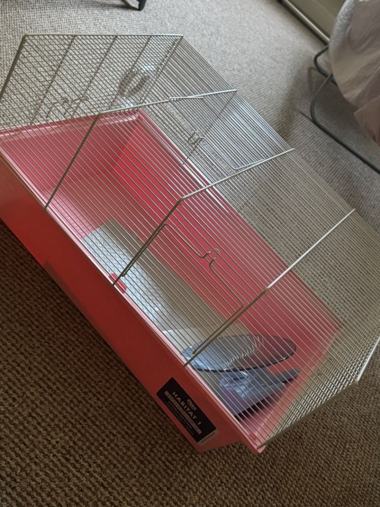 hamster habitat