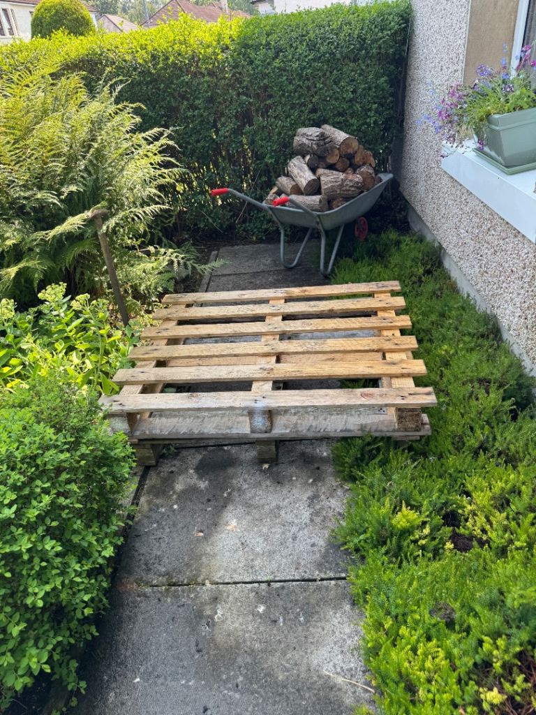 Free Wooden Pallets to uplift