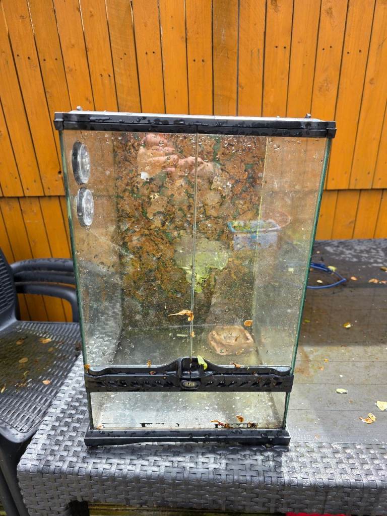 Exo terra terrarium 