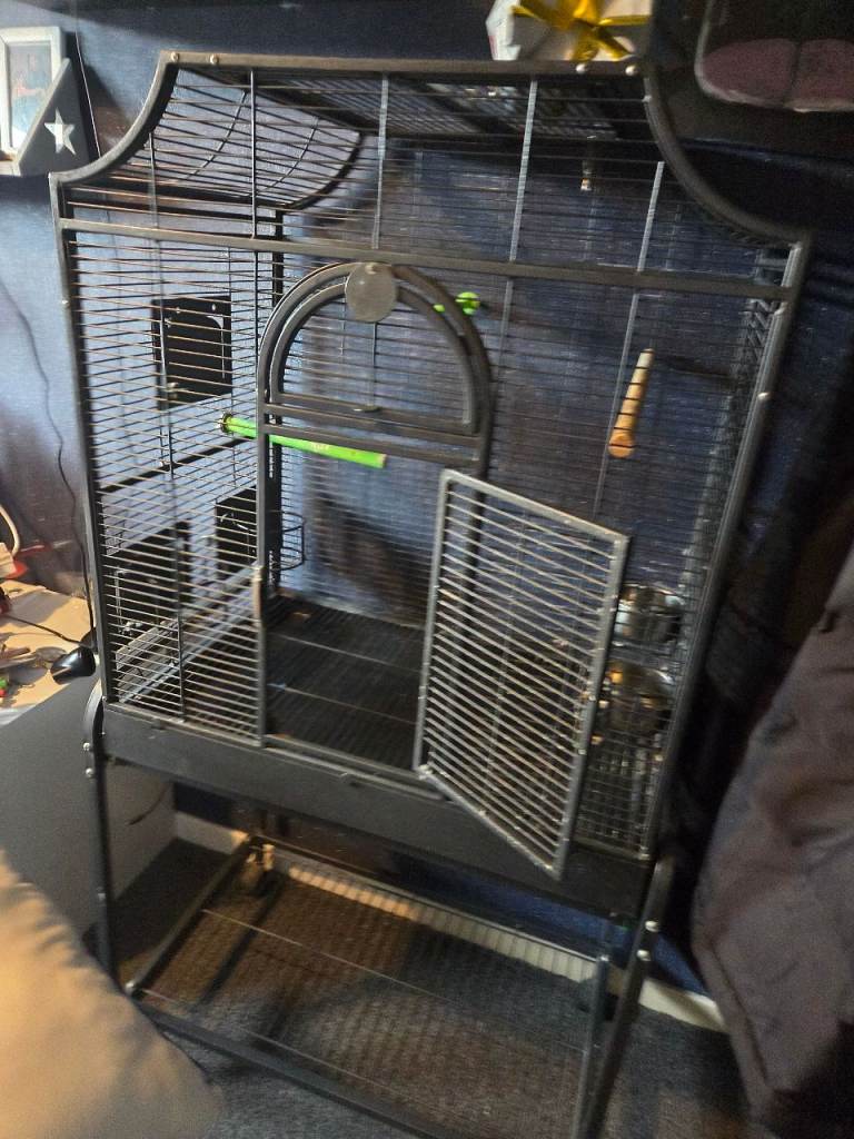 Parrat cage pick up only
