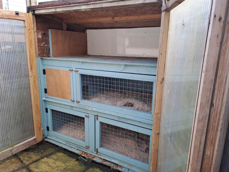 Very large rabbit hutch, built into shed