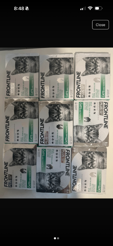 Frontline spot on cat 6 pack