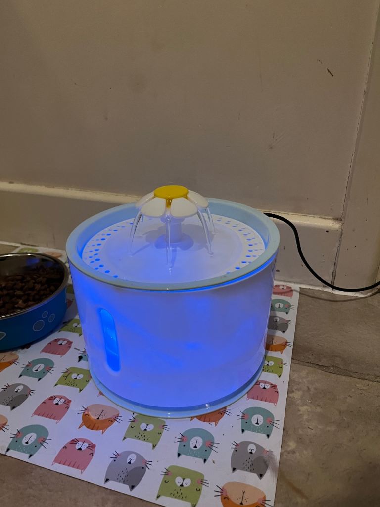 Cat water fountain