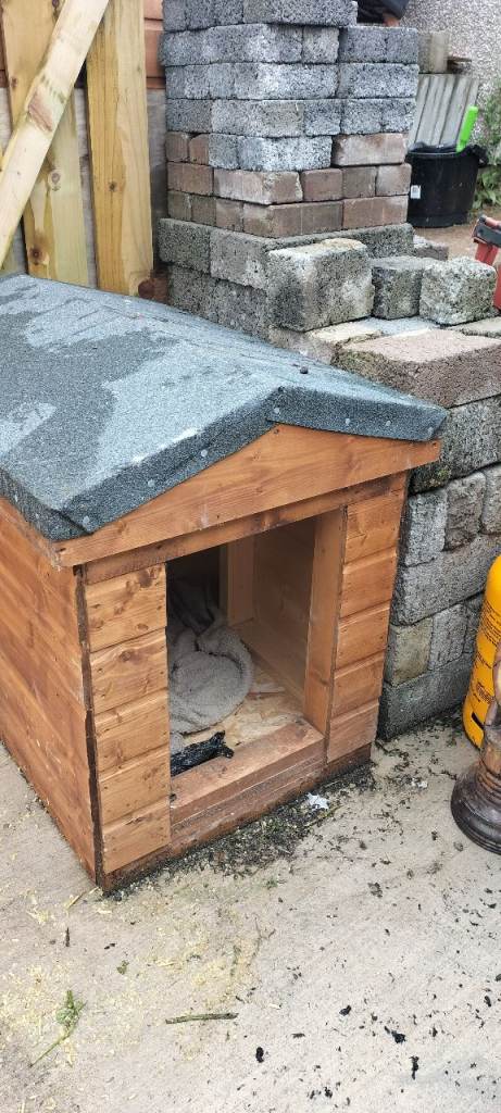 Dog kennel 