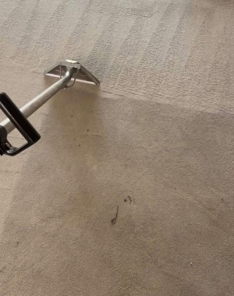 Carpet cleaning