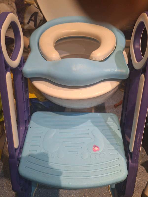 Toddler Toilet Seat step.