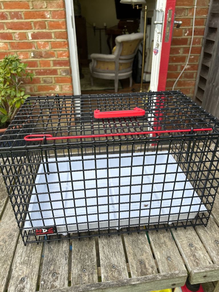 Large wire cat carrier