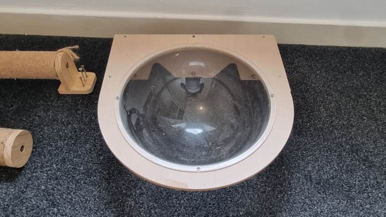 Large Cat Wall Climbing Set – Natural Wood – Handmade