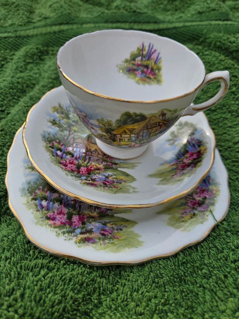 Vintage Royal Vale Bone China Tea Trio - Country Cottage Garden Pattern #7382
