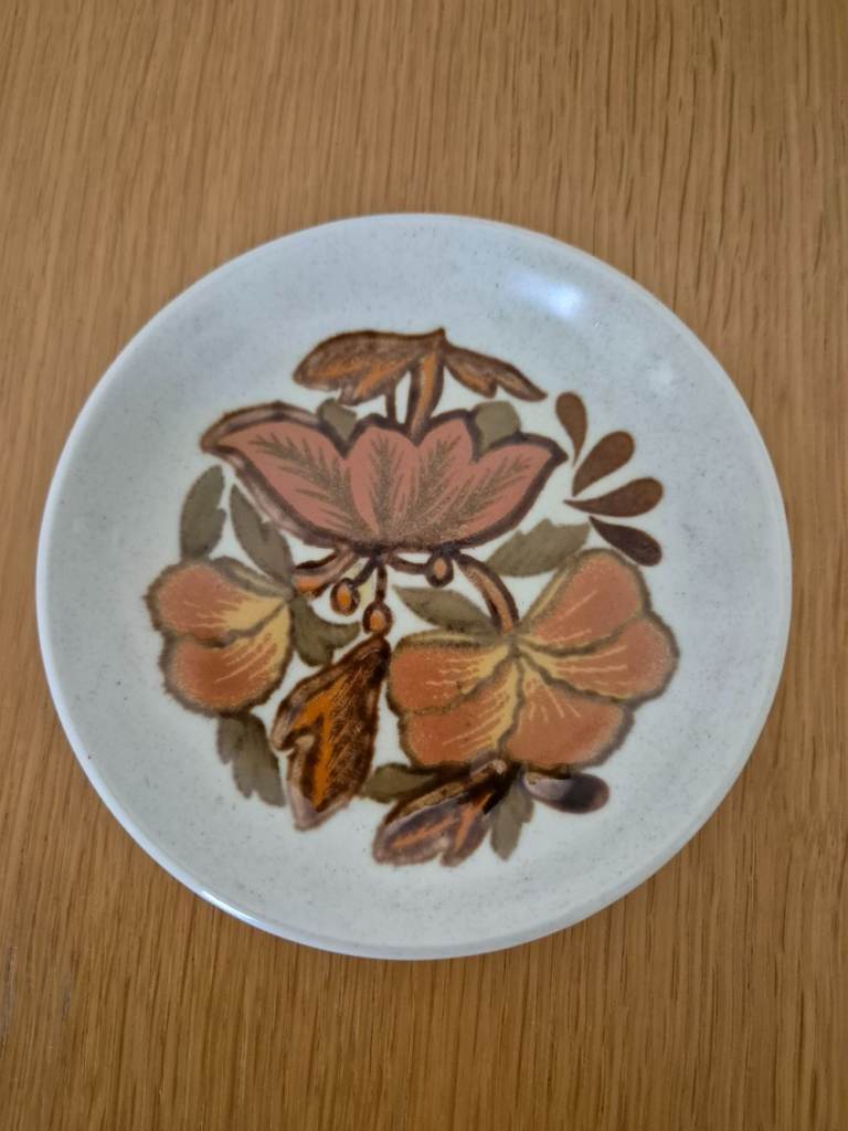 Royal Worcester Palissy dish
