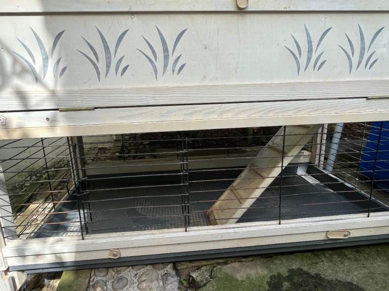 Free large double crate for guinea pigs or rabbit