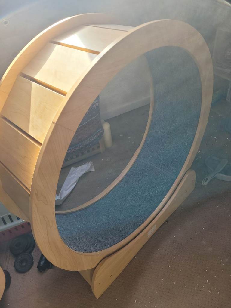 Cat Wheel - Great condition 