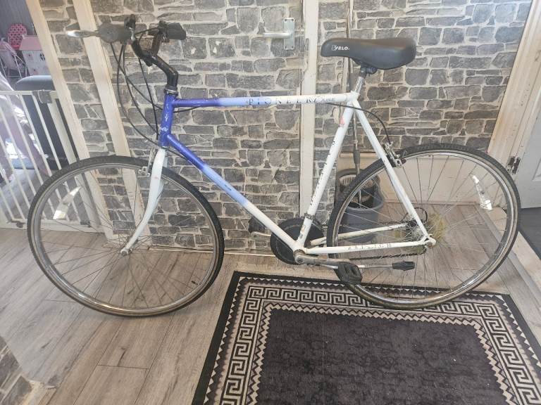 Raleigh pioneer classic mountain bike