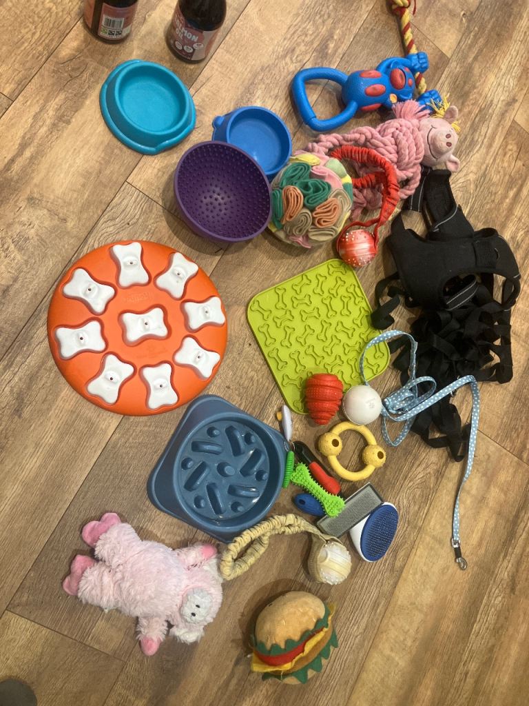 Dog toys, accessories 