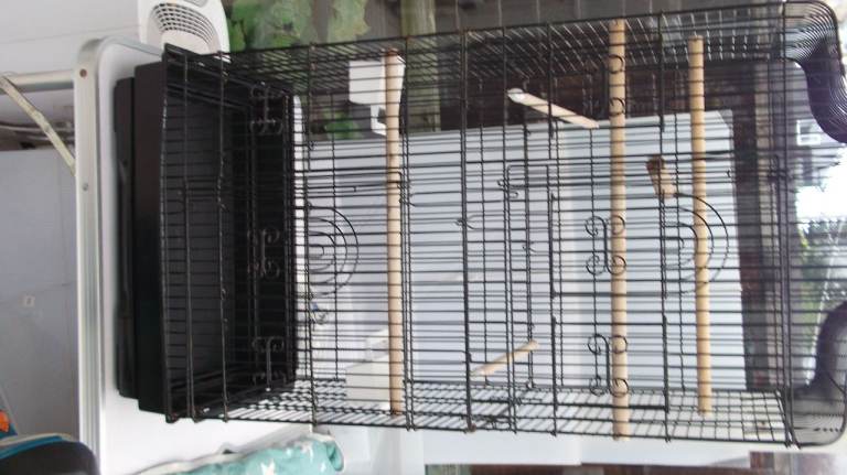 black bird cage
