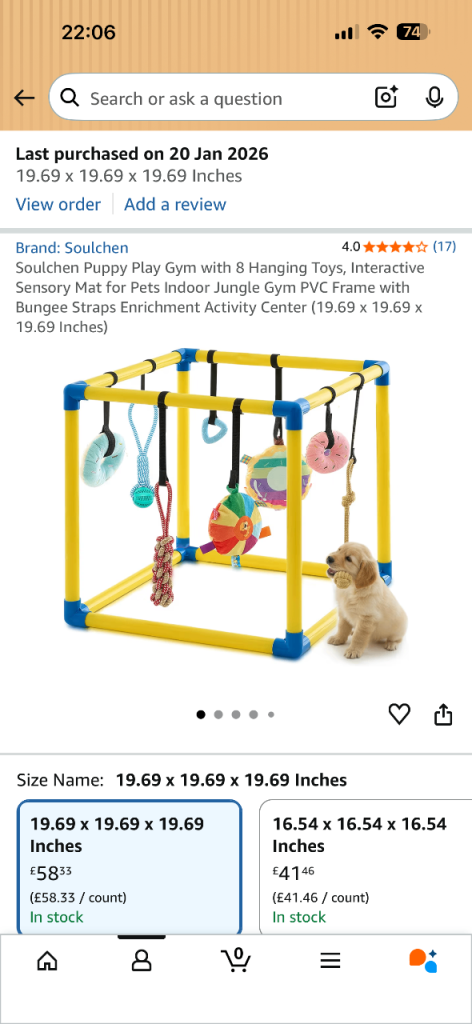 Puppy play gym