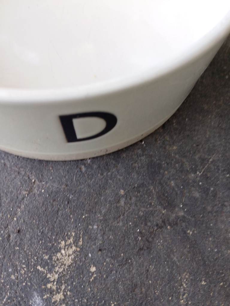 China dog bowl medium size 