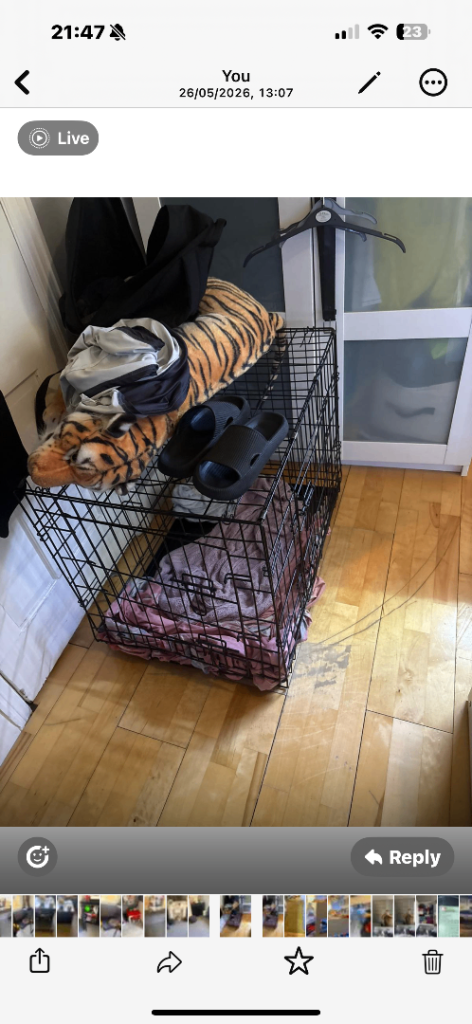 1 medium dog crate frenchie size