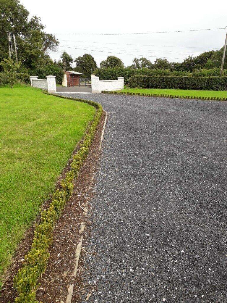 Box Hedging 