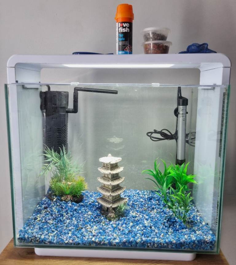 Supafish home 40 tropical set up