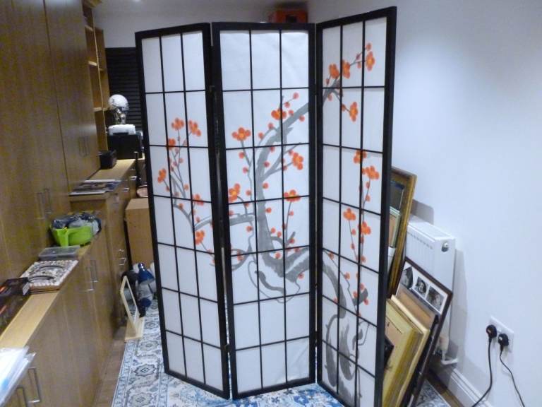 Lovely foldable free standing room divider (175 cms by 130 cms) can be very handy , only £29....