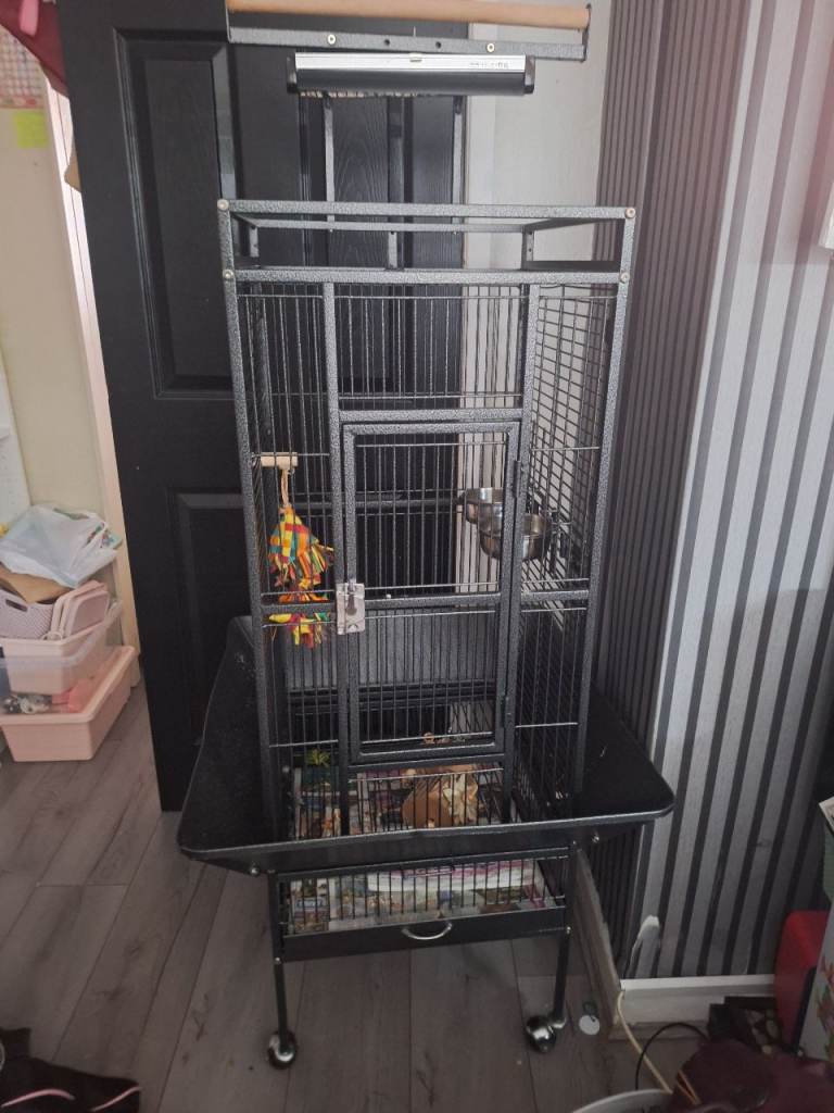 Bird cage 