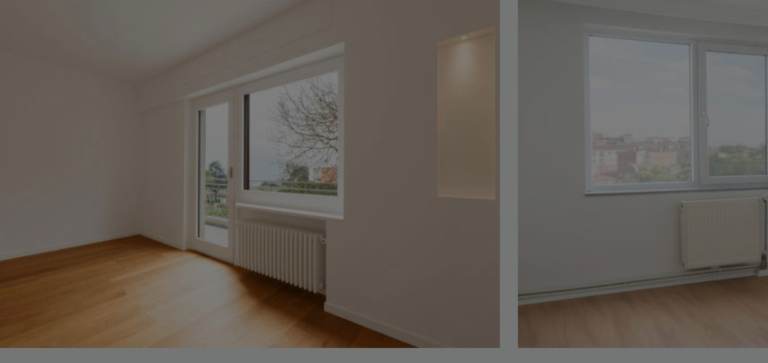 Painting and decorating/mould treatment 
