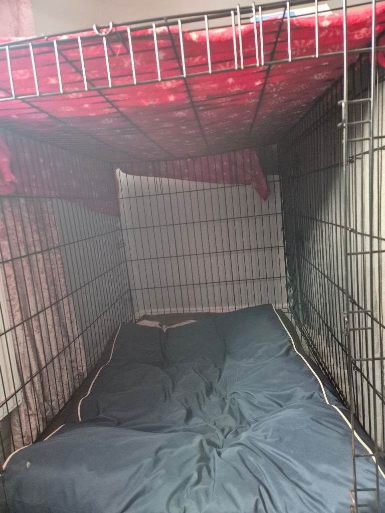 Dog Crate