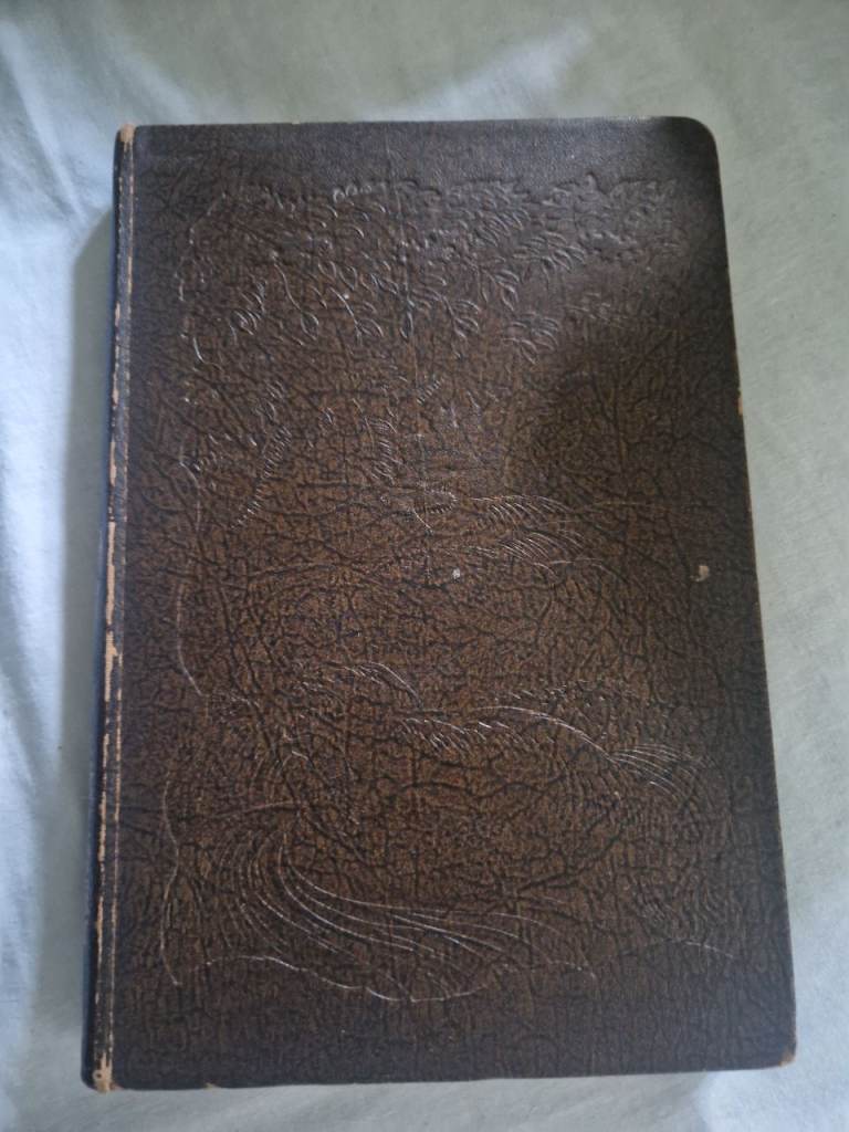 Vintage Brown Hardcover Book – Fair Condition