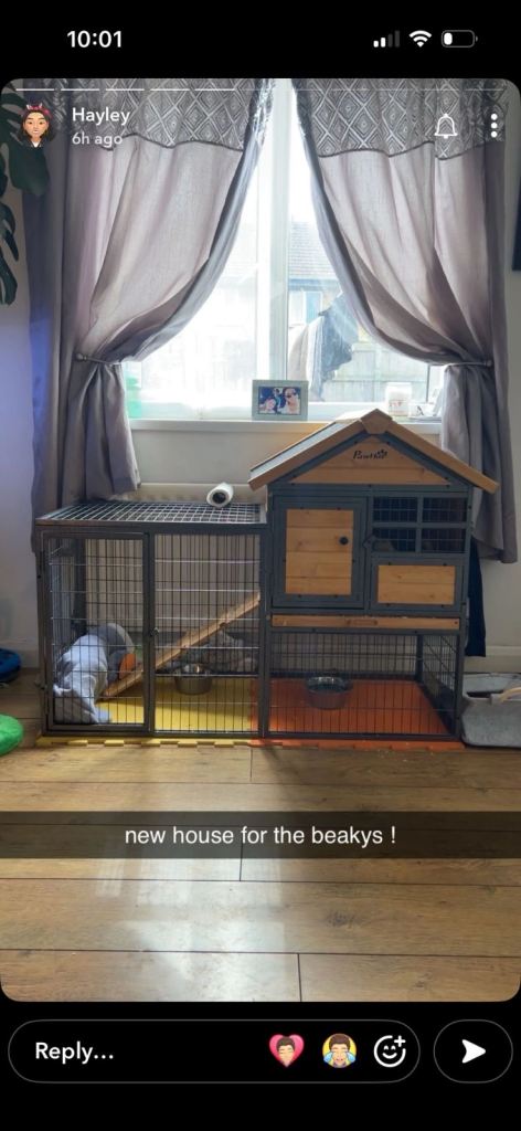 paw hut rabbit house / rain cover 