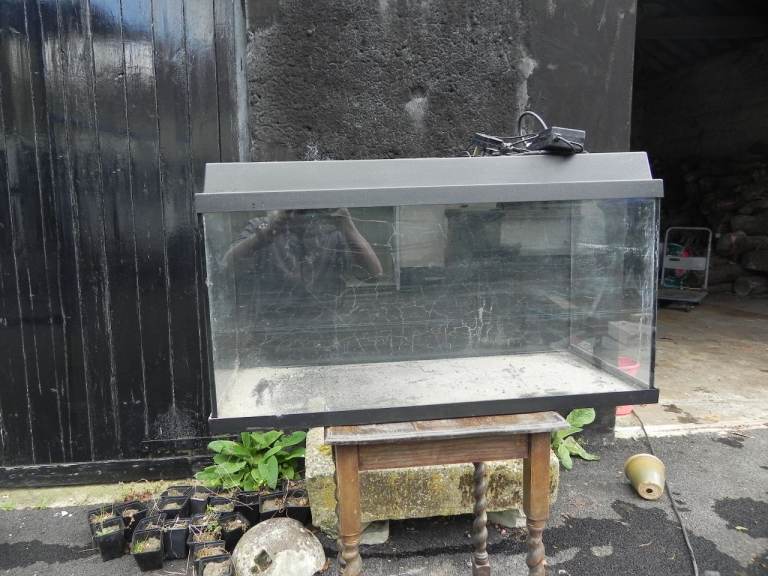 Juwel aquarium fish tank