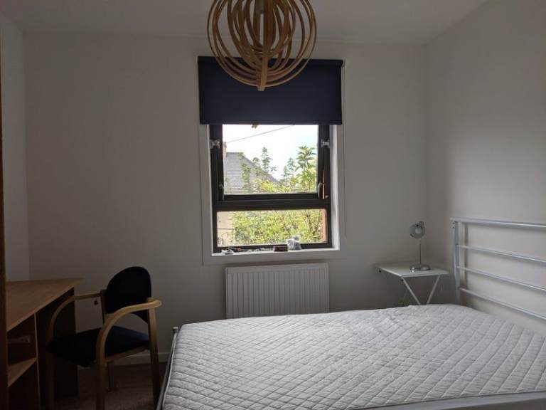 House share near city centre - Available August