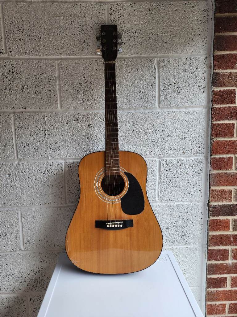 Acoustic Guitar 