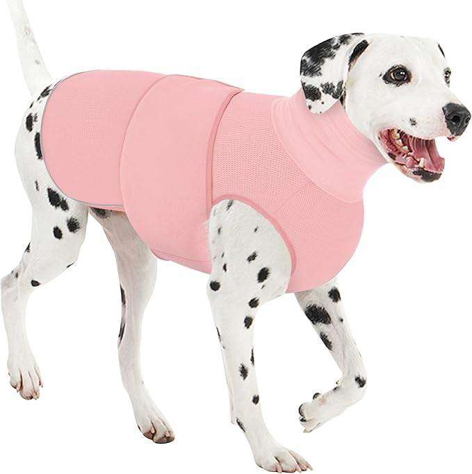 Dog Anxiety Vest