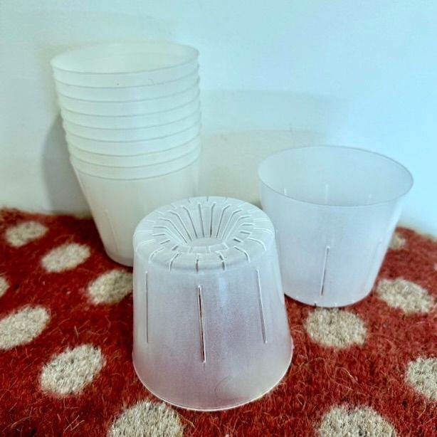 Air pot clear plant pot £1 each.