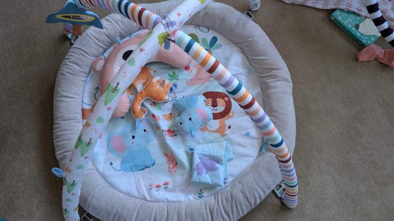 Baby Activity Play Mat with Toys