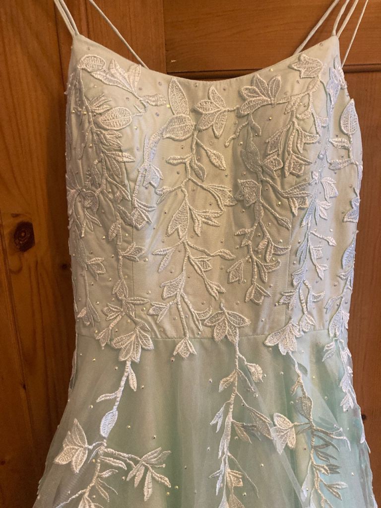 Stacees Prom Dress 