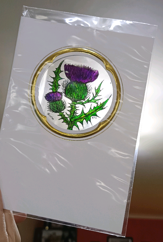 Thistle Window Sticker Greetings Card 