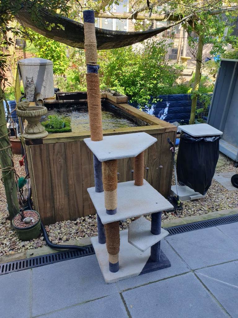 Free cat climber scratcher 