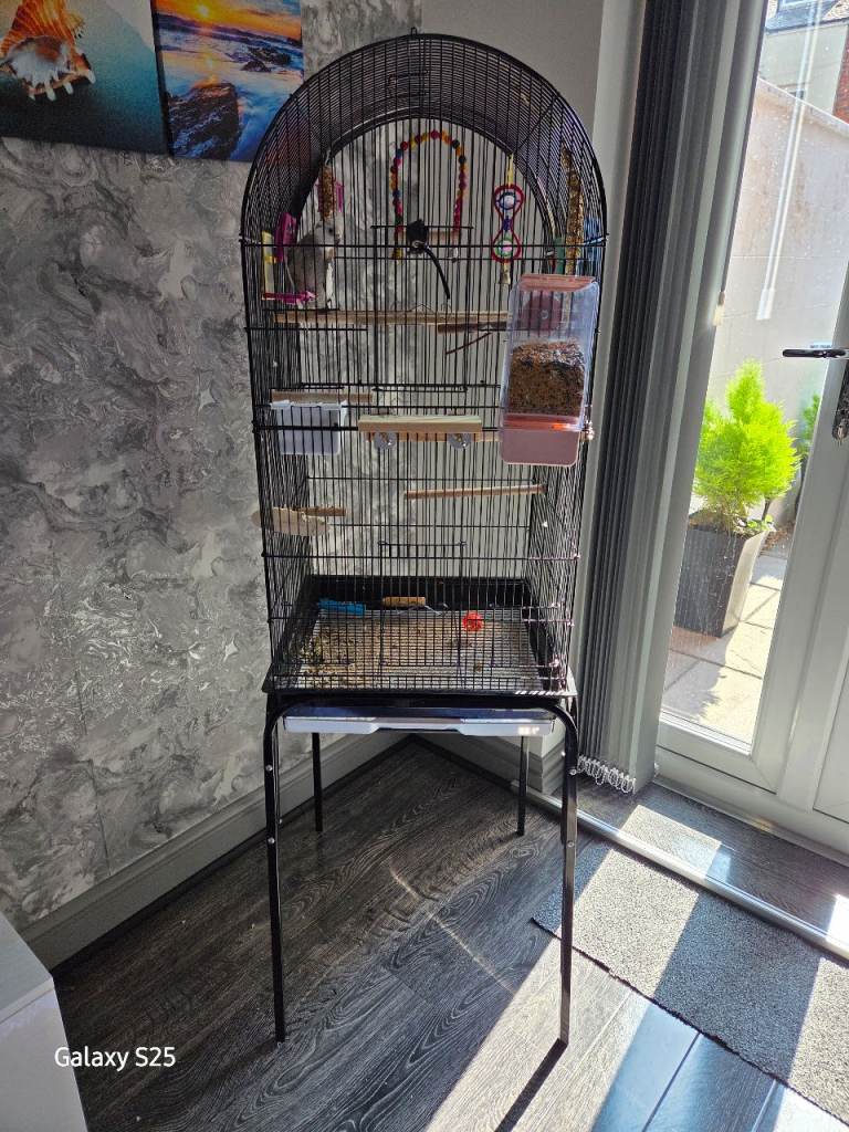 Bird cage @cockatail