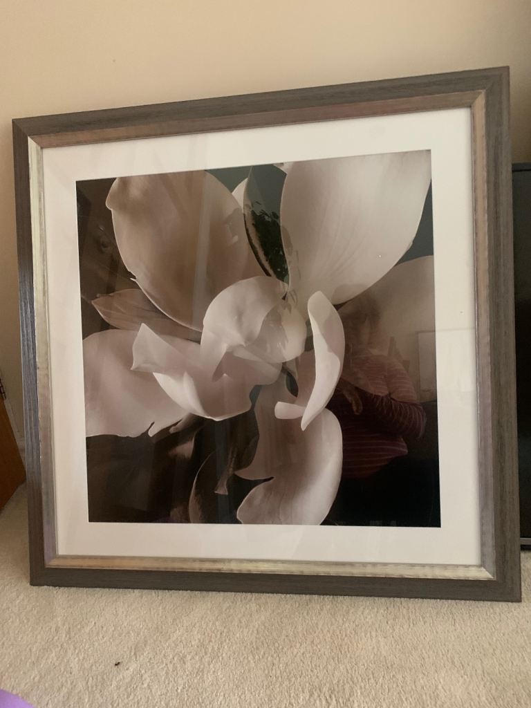 Picture large flower