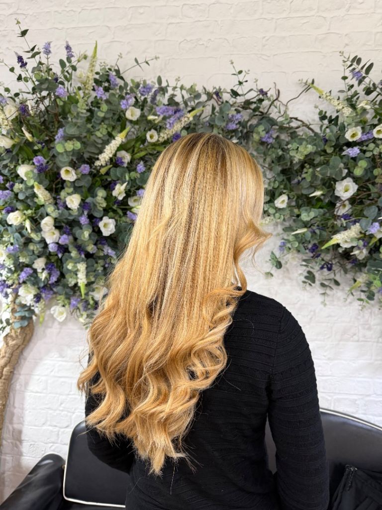 Model needs for portfolio 