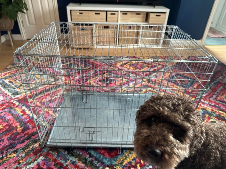 91cm x 61cm Ellie-Bo Large Dog Crate