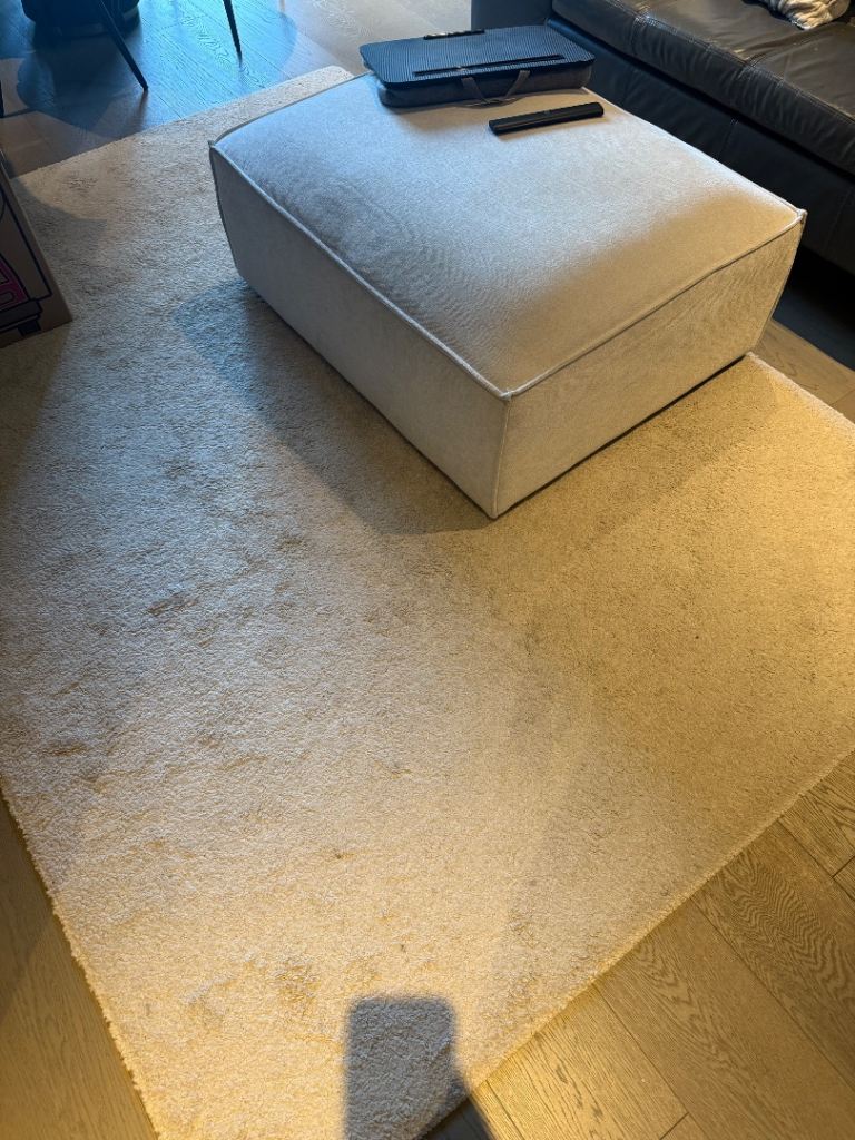 IKEA living rooom rug 