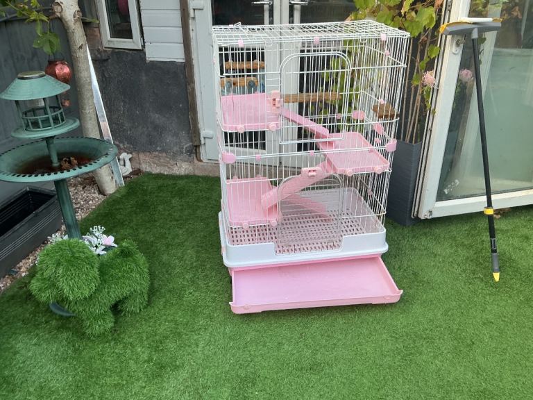 Pet cage 