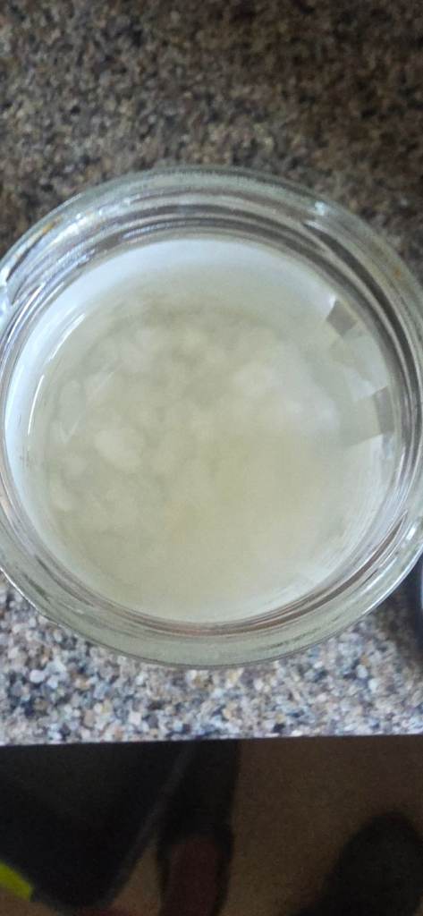 40g water kefir grains