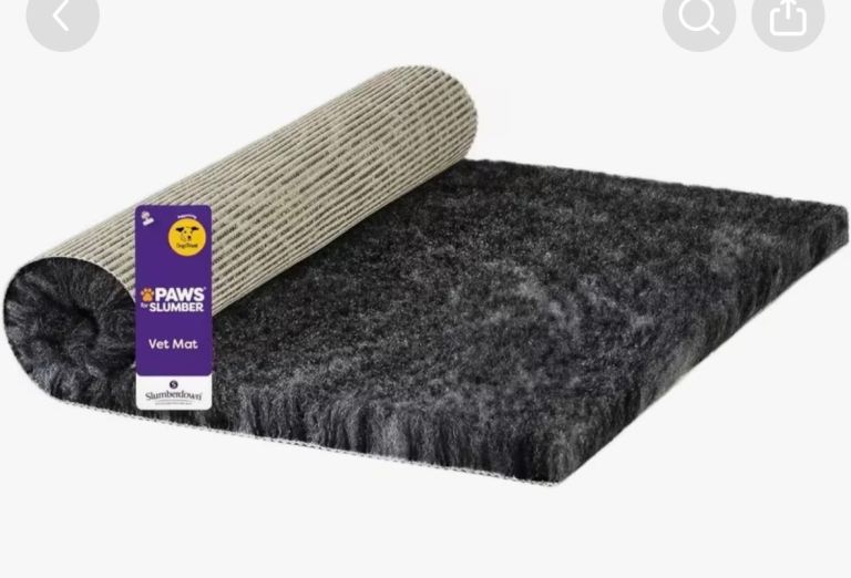 Dog vet bed x2