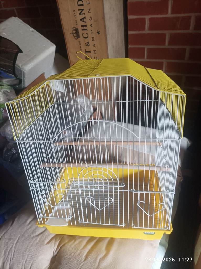 Small bird cage 